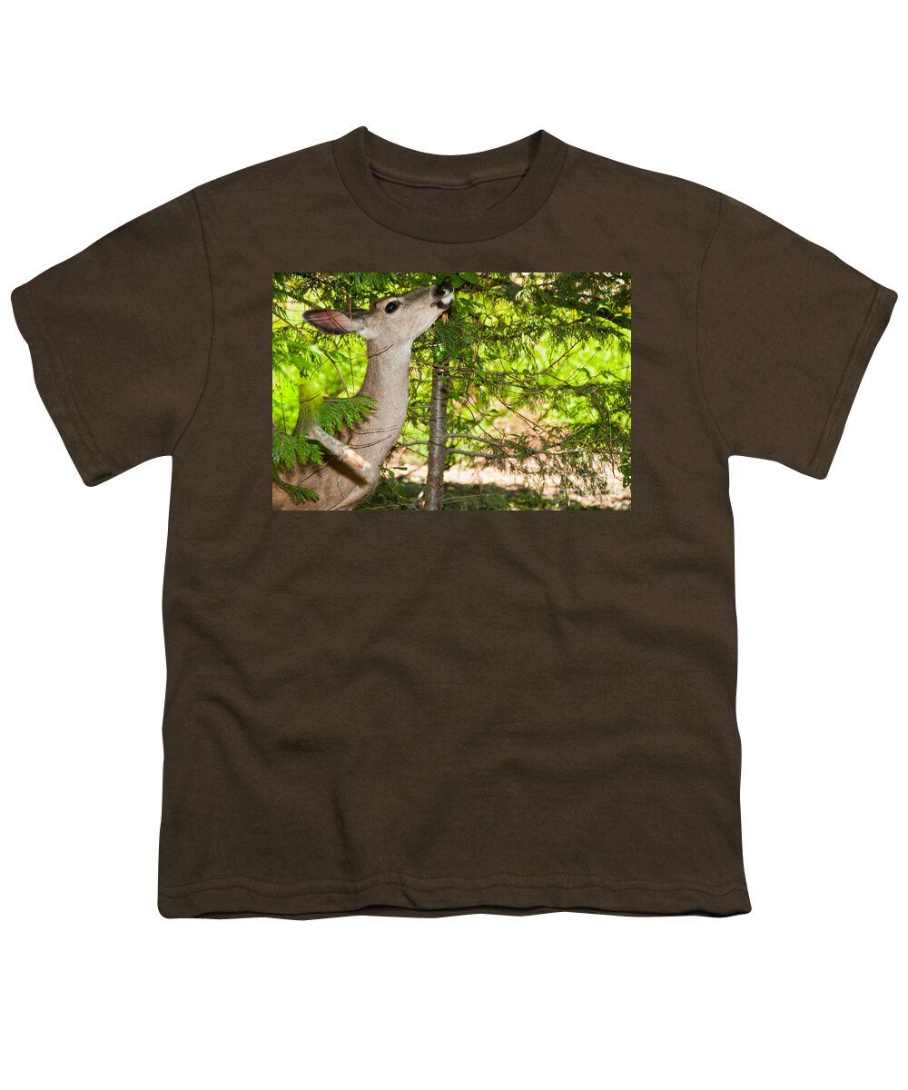 Animals Youth T-Shirt featuring the digital art Yosemite by Carol Ailles