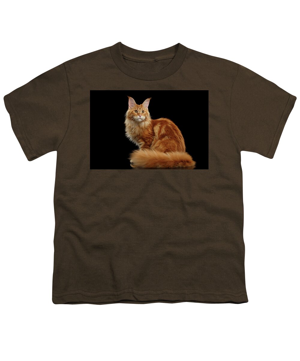 Ginger Maine Coon Cat Isolated On Black Background Youth T Shirt For Sale By Sergey Taran