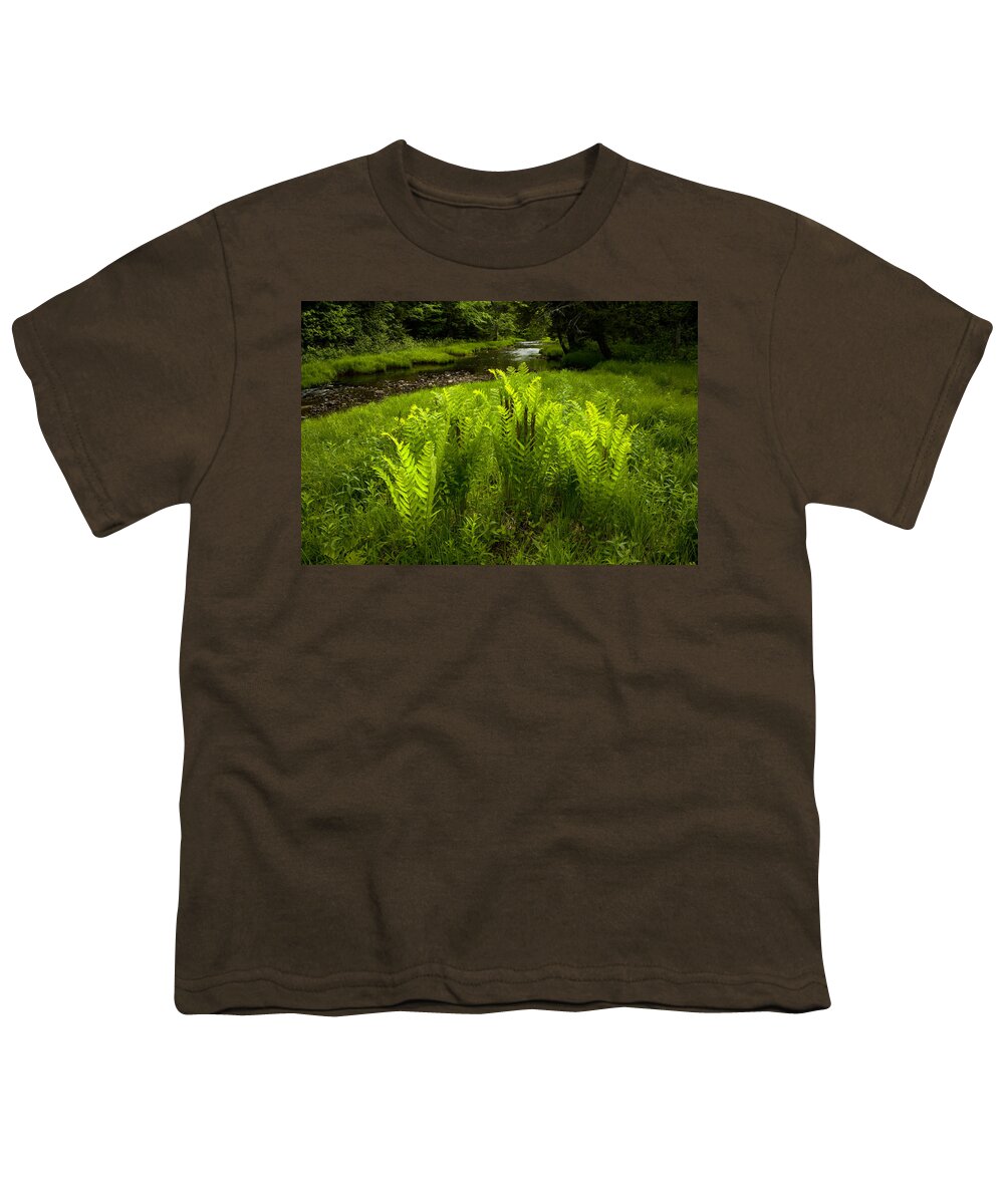 Kelly River Wilderness Youth T-Shirt featuring the photograph Fern Glow #2 by Irwin Barrett