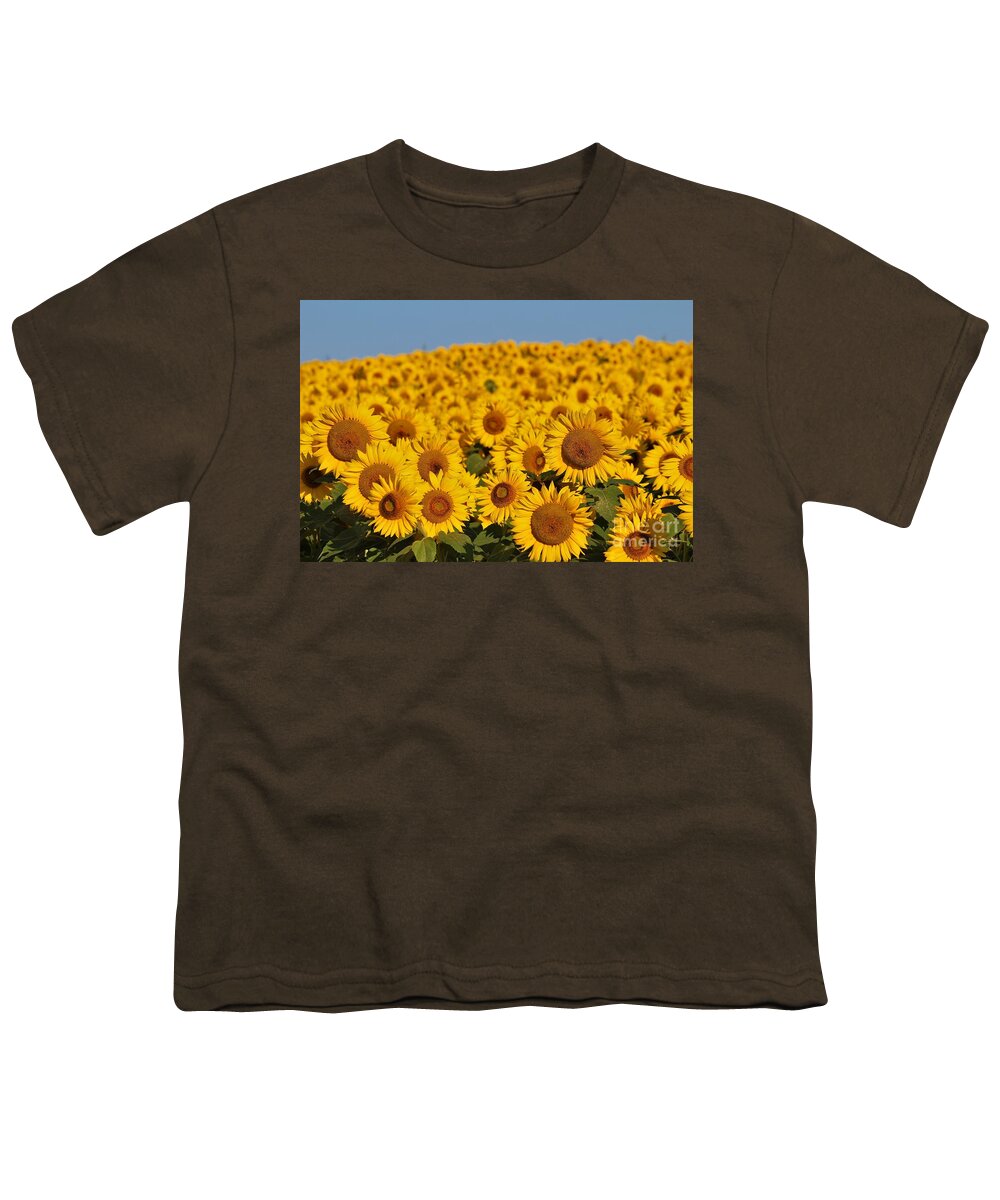 Sunflower Youth T-Shirt featuring the photograph Sunflowers #6 by Donn Ingemie