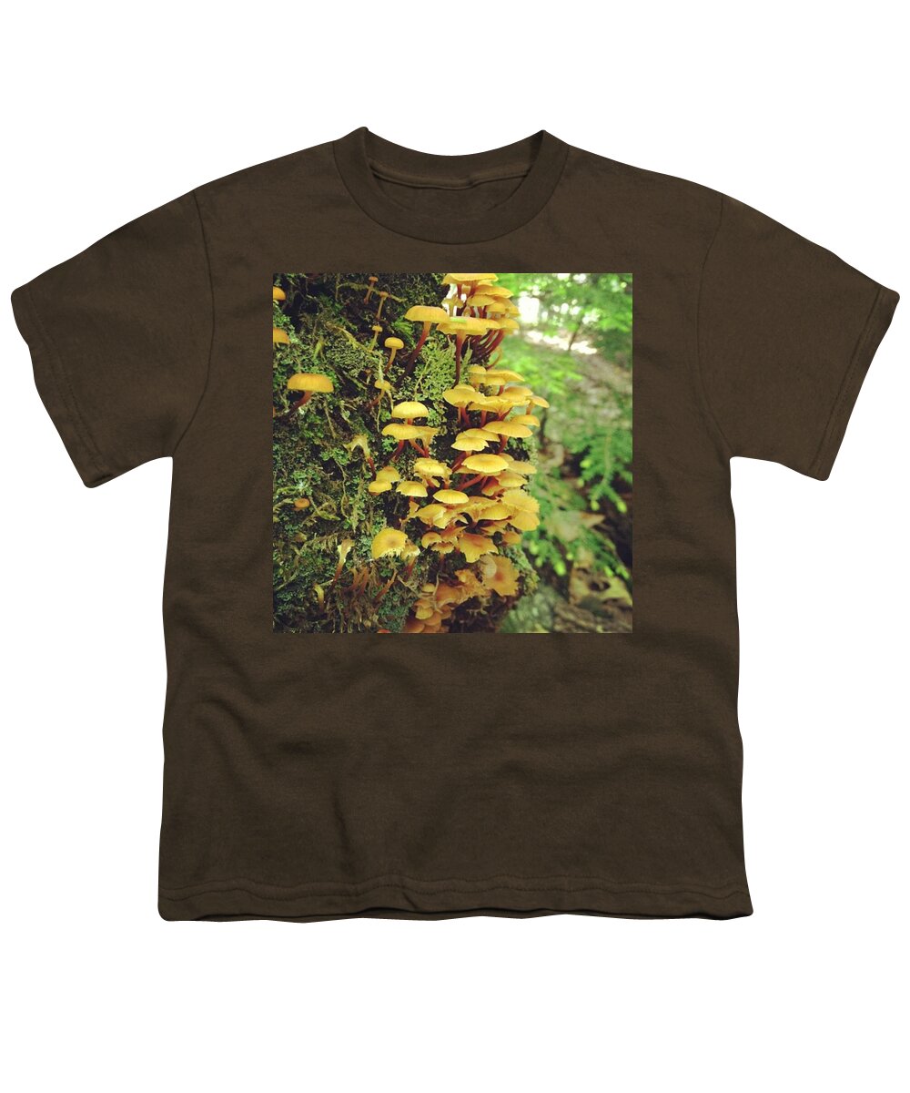 Mushrooms Youth T-Shirt featuring the photograph Mushrooms #4 by Salamander Woods Studio-Homestead