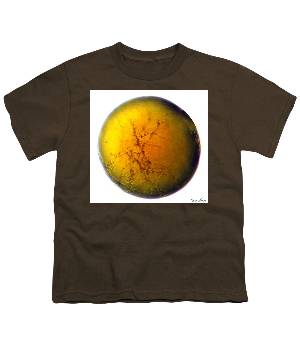 Micrograph Youth T-Shirt featuring the photograph A World All Its Own by Rein Nomm