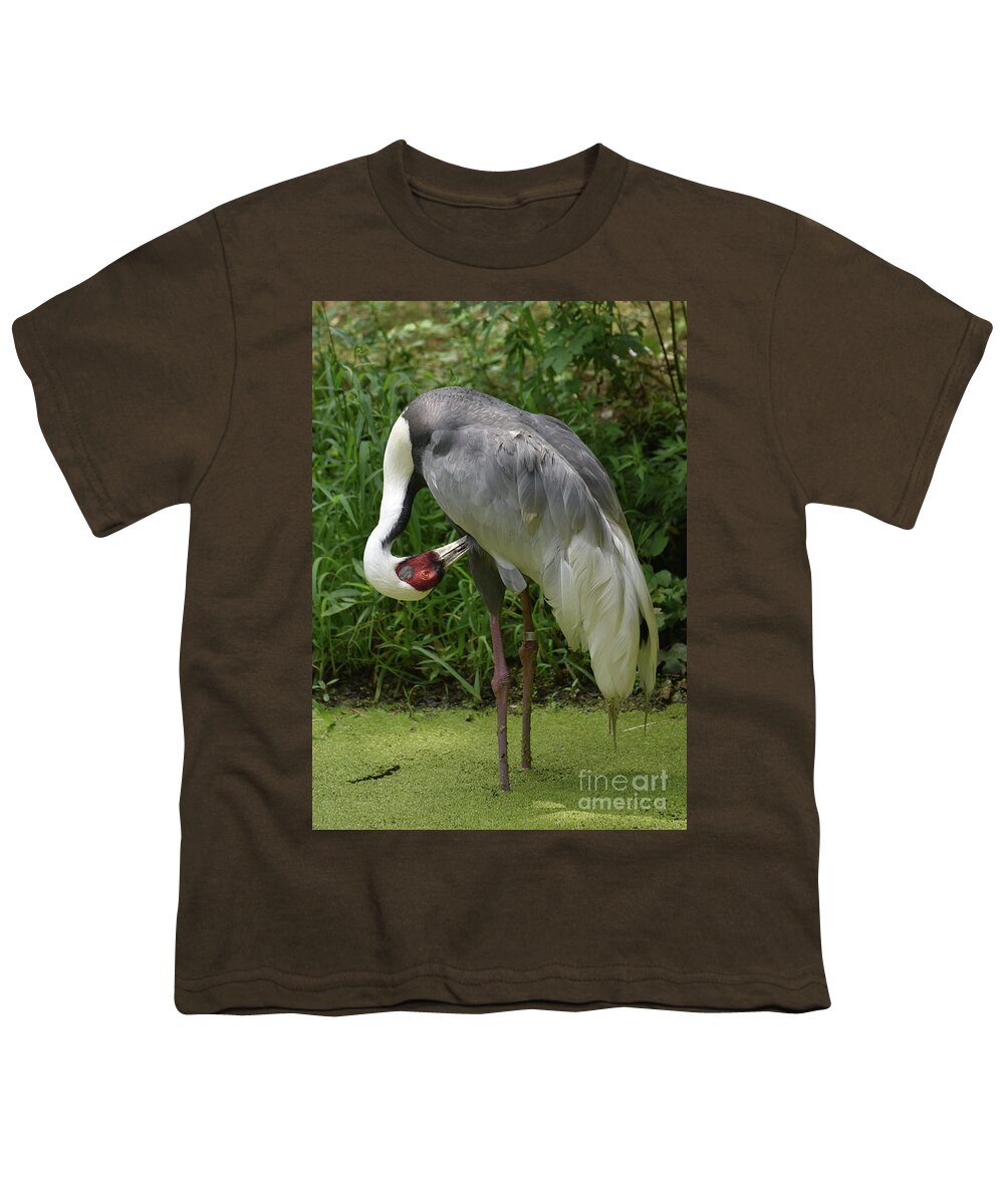 White-naped-crane Youth T-Shirt featuring the photograph Algae Covered Pond with a White Naped Crane by DejaVu Designs