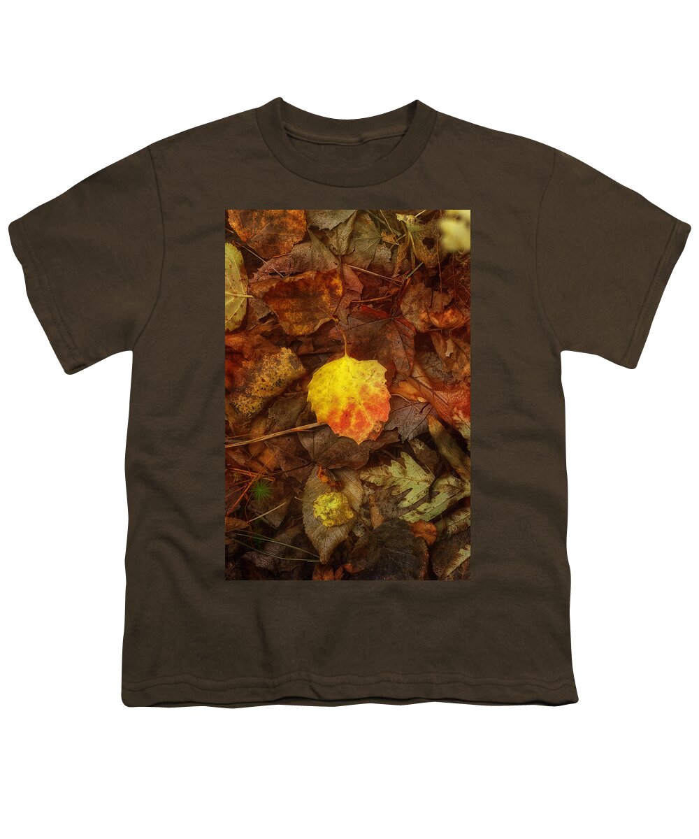 Sue Capuano Youth T-Shirt featuring the photograph All Fall Down by Sue Capuano