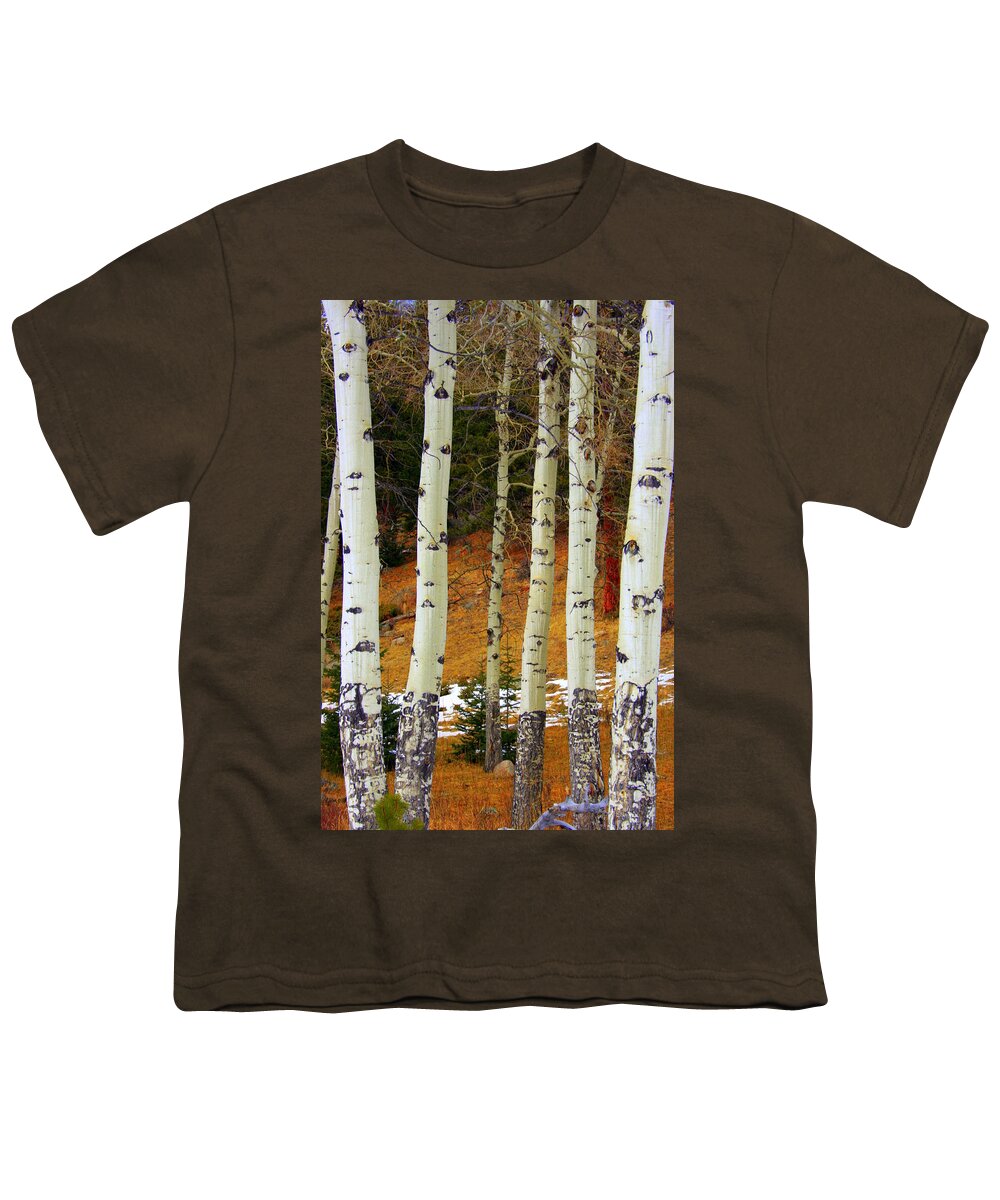 Aspens Youth T-Shirt featuring the photograph Aspens of white by Julie Lueders 