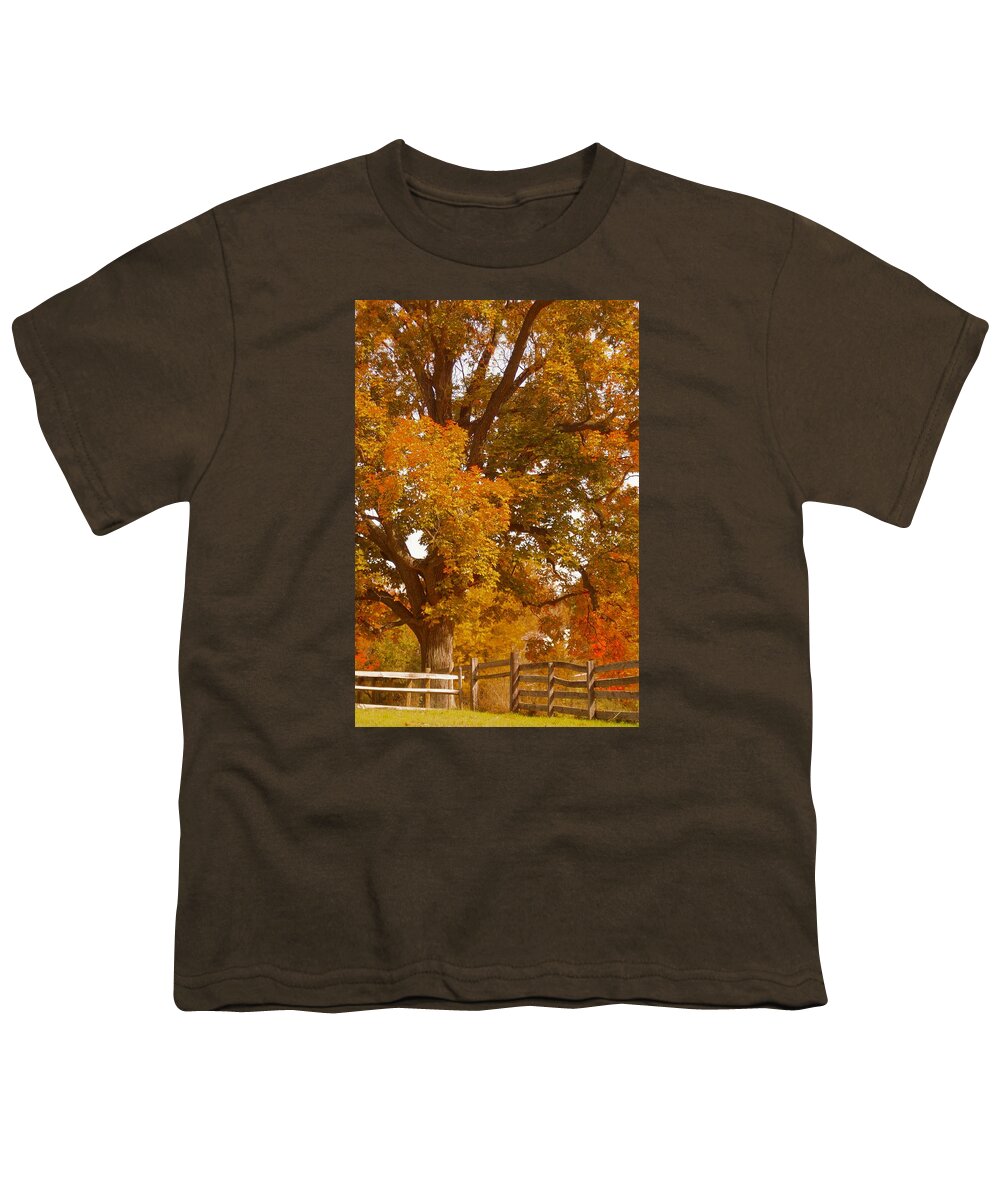 Maple Tree Youth T-Shirt featuring the photograph Autumn in Chester County II by Susan Maxwell Schmidt