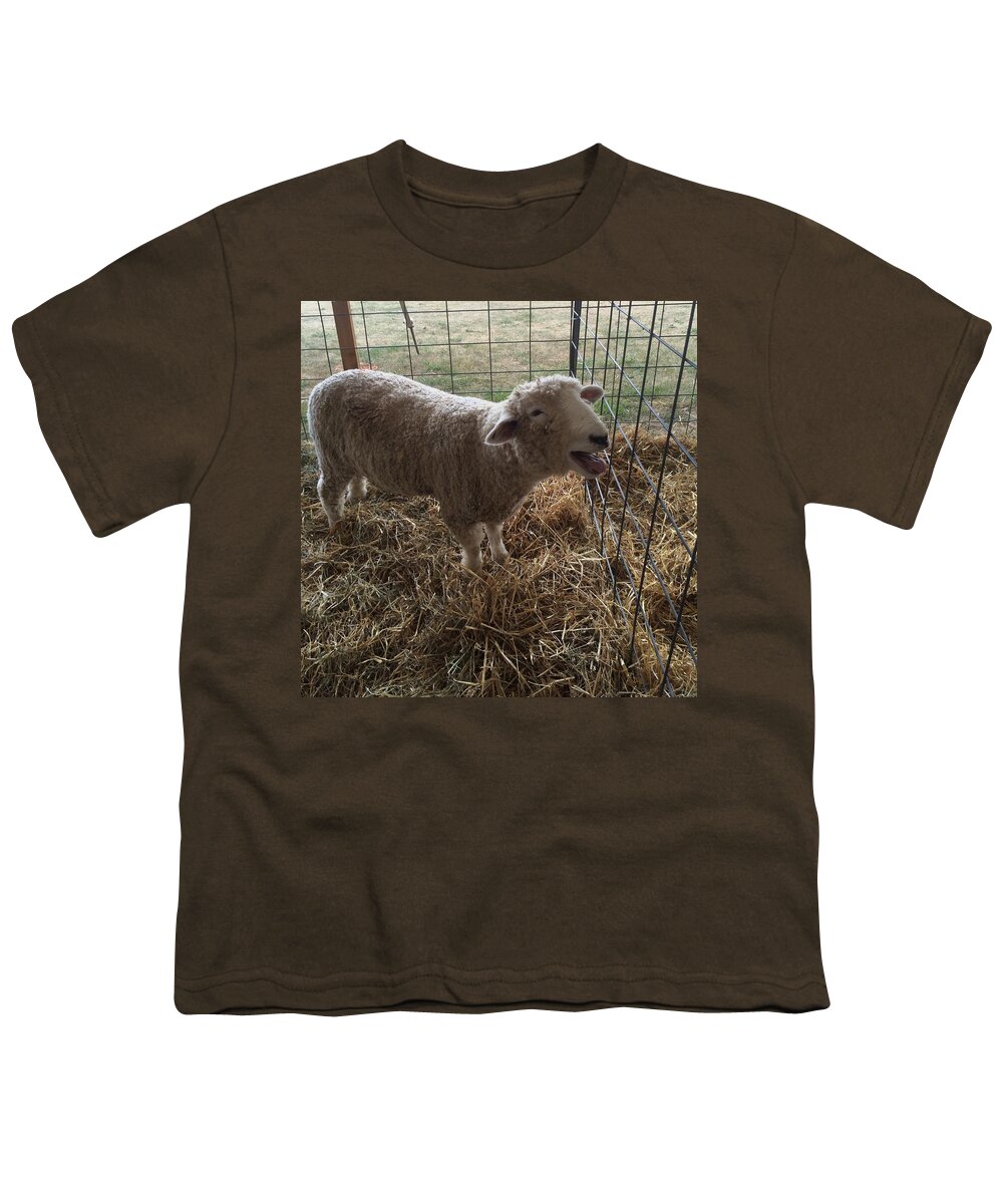 Sheep Youth T-Shirt featuring the photograph Baa Baa Sheep - Country Fair by Ellen Levinson