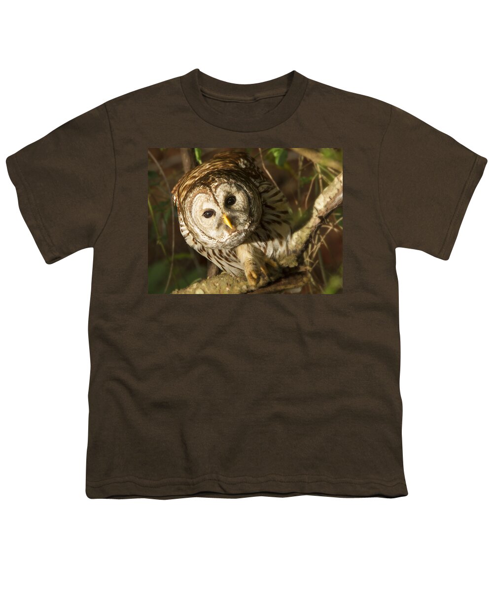 Cute Barred Owl Youth T-Shirt featuring the photograph Barred Owl Peering by Jean Noren