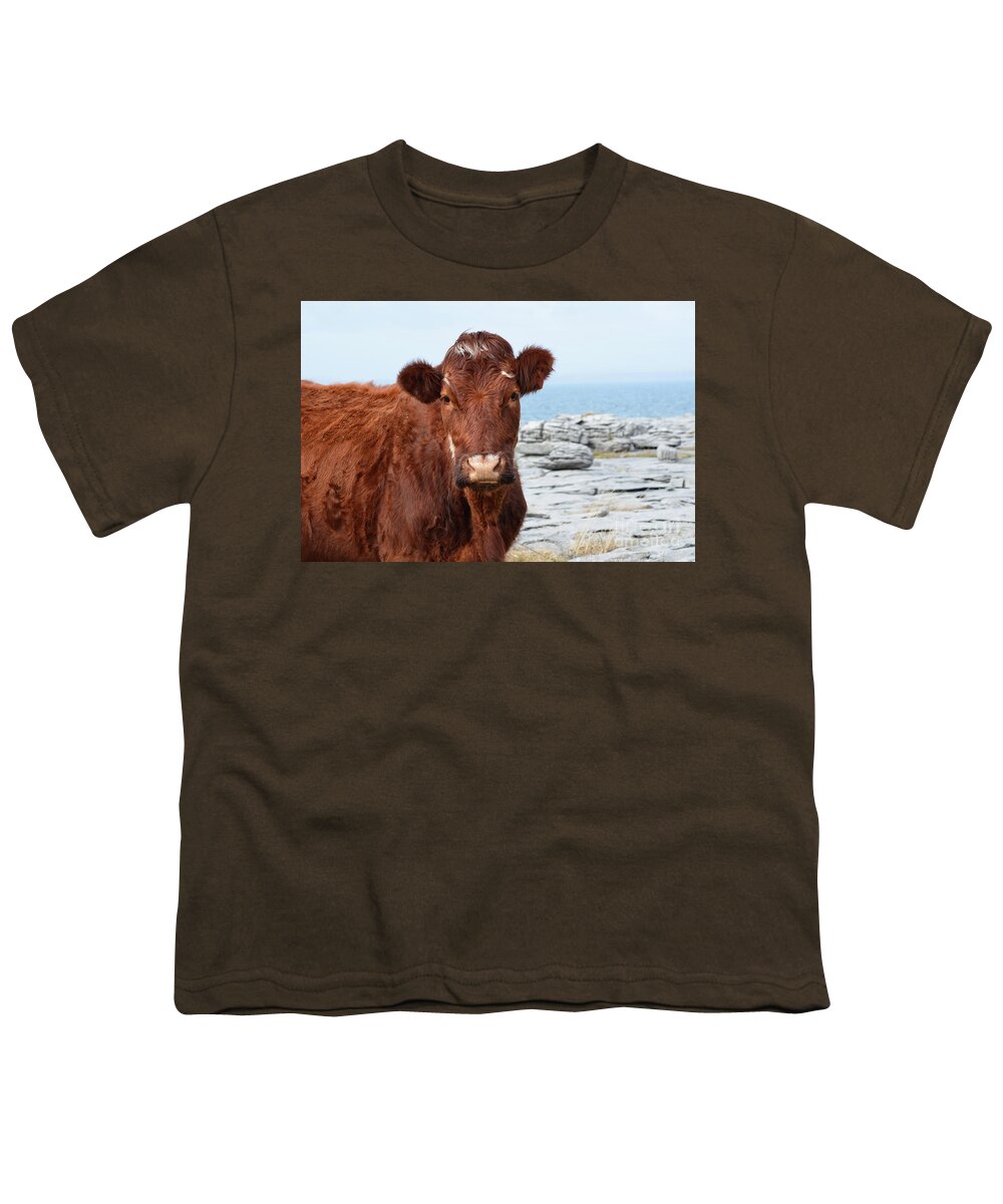 Cow Youth T-Shirt featuring the photograph Beautiful Brown Cow on the Burren in Ireland by DejaVu Designs