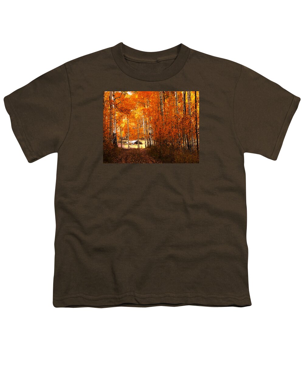 Zion Youth T-Shirt featuring the photograph Cabin Among the Aspen by Alan Socolik
