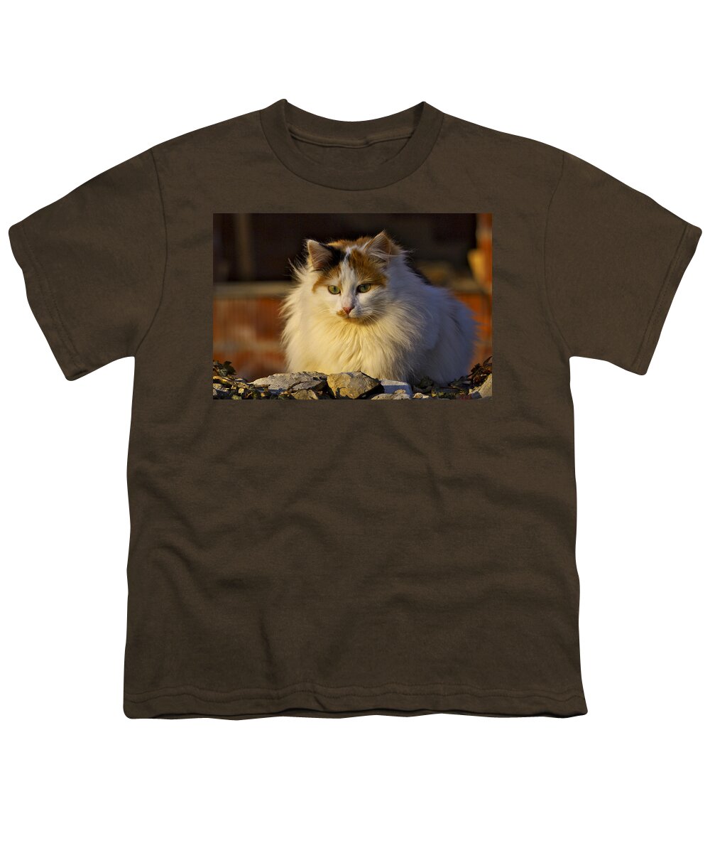 Cat Youth T-Shirt featuring the photograph Cat by Ivan Slosar