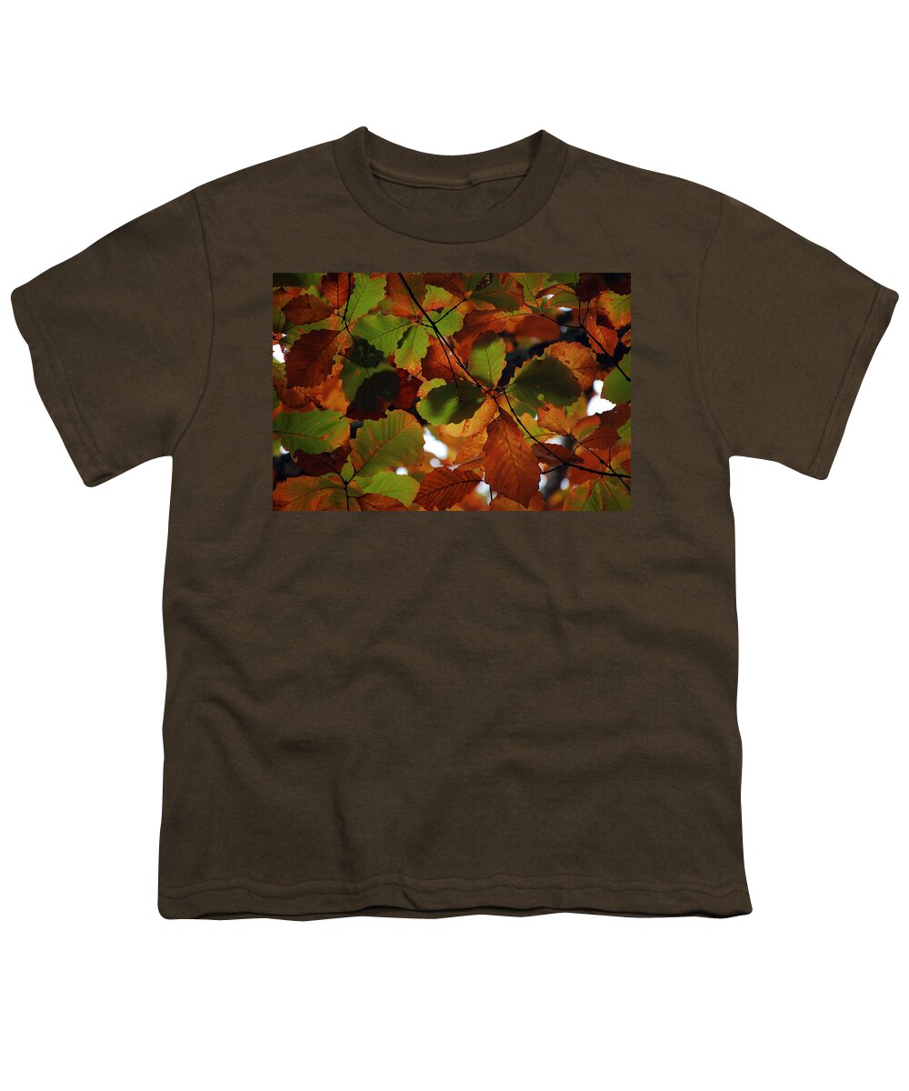 Colour Youth T-Shirt featuring the photograph Colours of Fall II by Robert Meanor