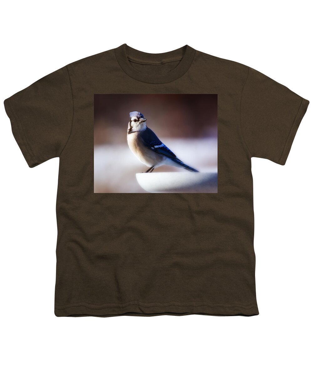 Bird Youth T-Shirt featuring the photograph Dreamy Blue Jay by Al Mueller