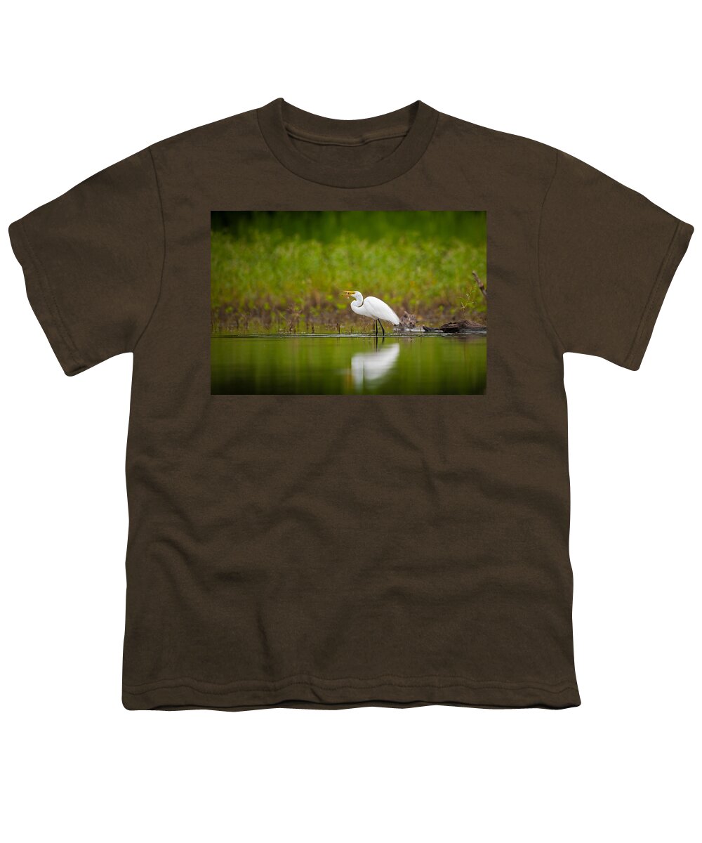 Nature Youth T-Shirt featuring the photograph Egret Feeding by Jeff Phillippi