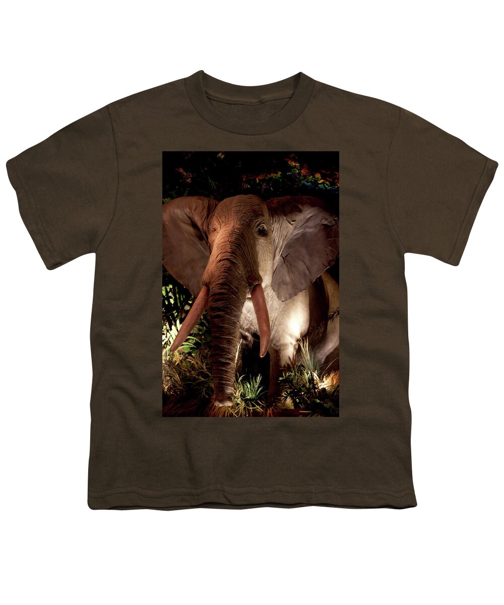 Elephant Youth T-Shirt featuring the photograph Elephant at Rainforest Cafe by Ivete Basso Photography