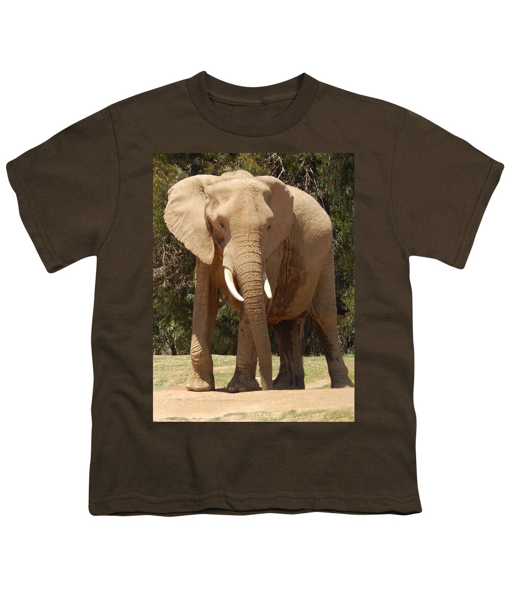 Photo Youth T-Shirt featuring the photograph Elephant by Chris Tarpening