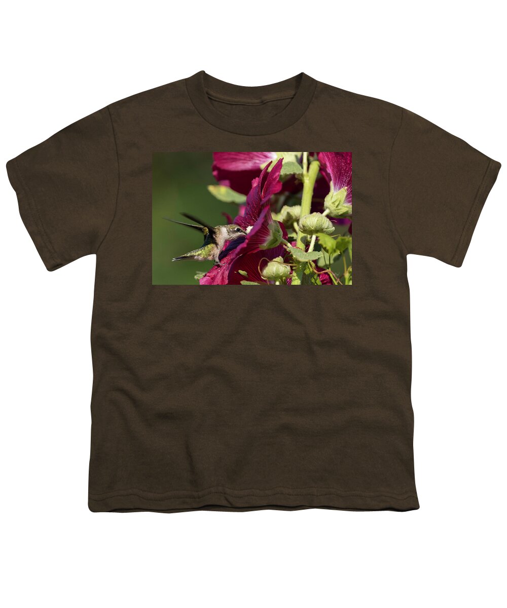 Hummingbird Youth T-Shirt featuring the photograph Evening Dining by Everet Regal