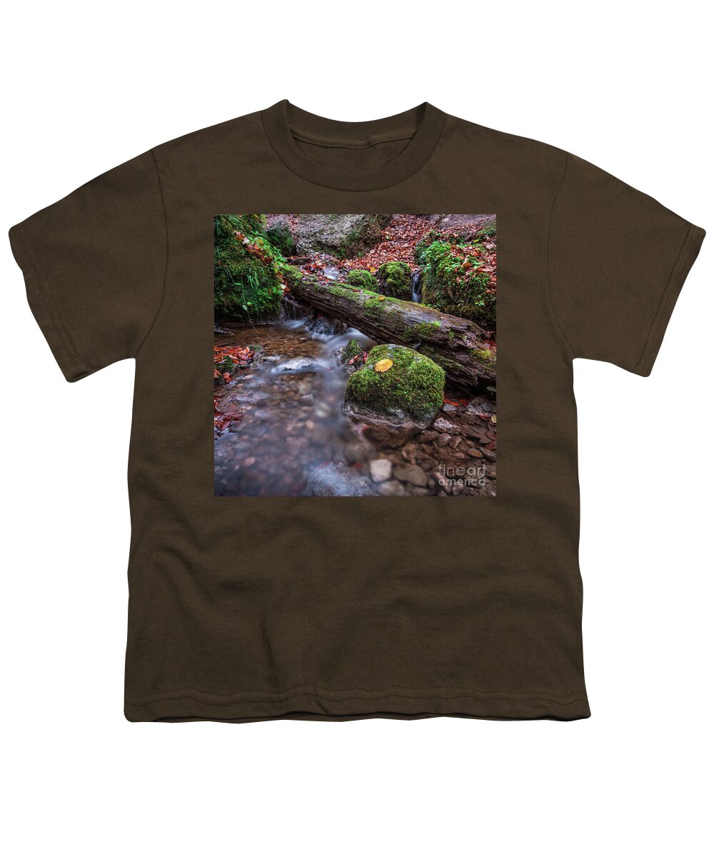 1x1 Youth T-Shirt featuring the photograph Fall In The Woods by Hannes Cmarits