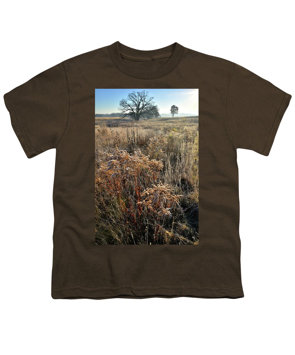 Mchenry County Conservation District Youth T-Shirt featuring the photograph Fall Wildflowers at MCCD's Prairieview Education Center by Ray Mathis