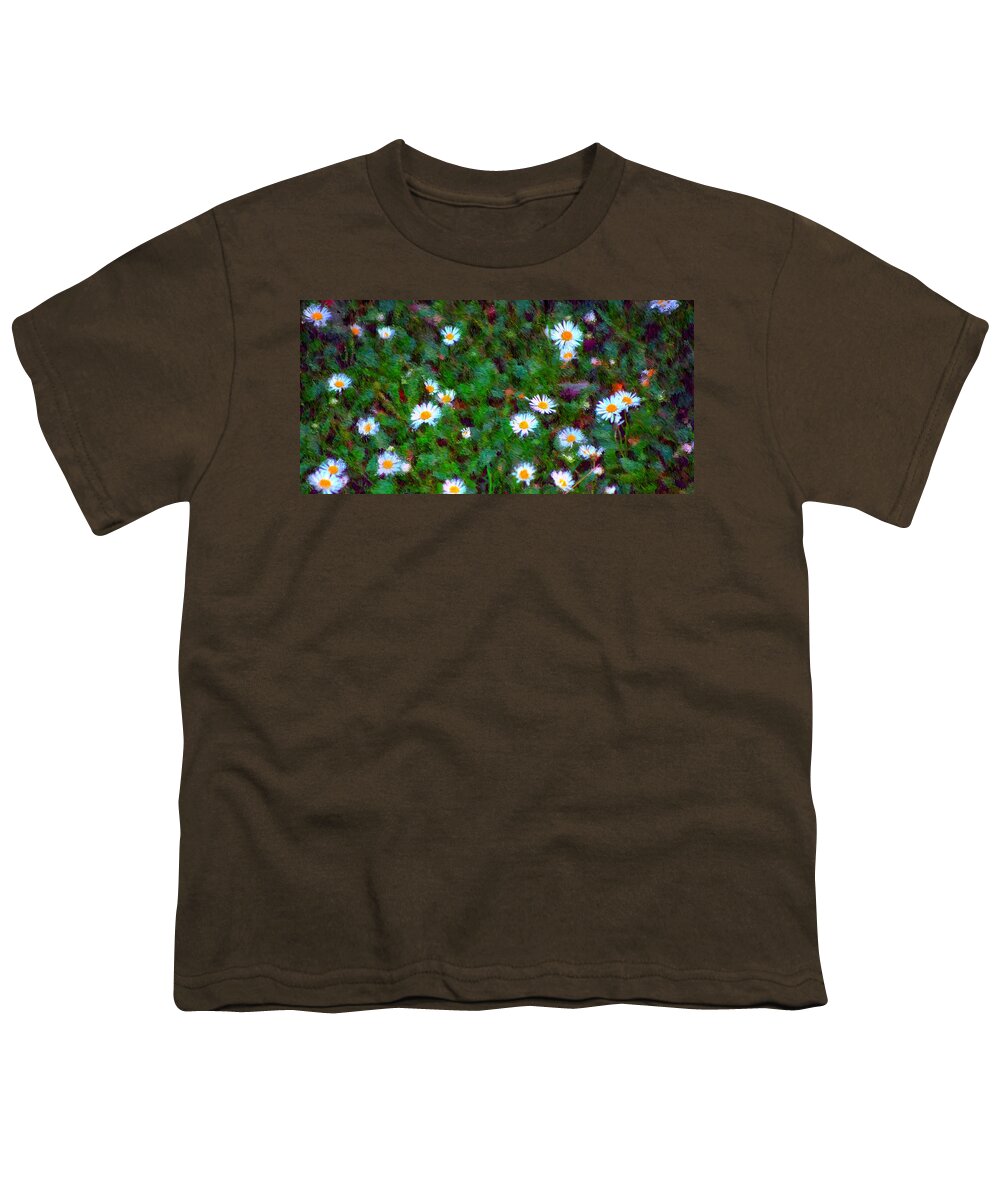 Digital Photograph Youth T-Shirt featuring the photograph Field of Daisys by David Lane