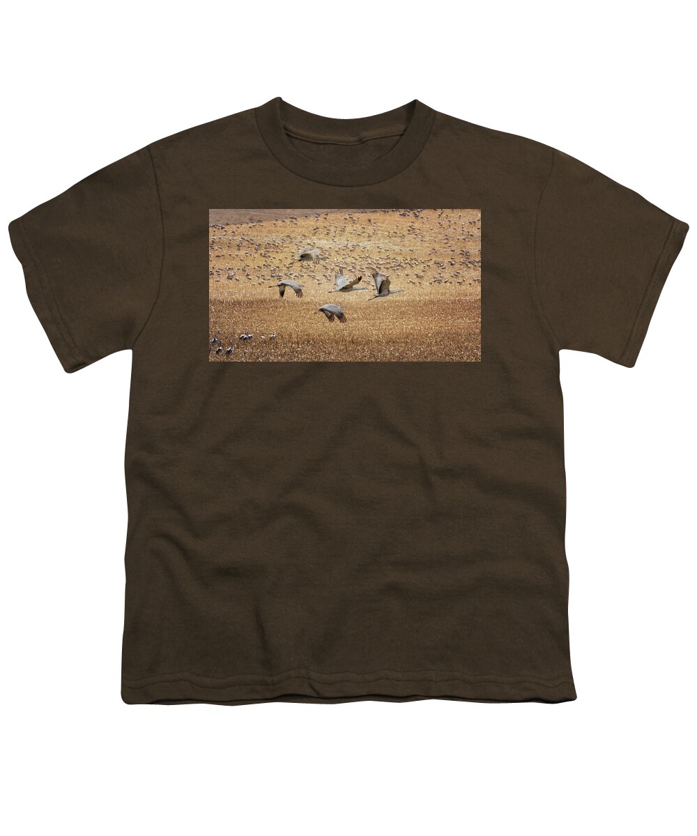Sandhill Cranes Youth T-Shirt featuring the photograph Flight Across the Sandhills by Susan Rissi Tregoning