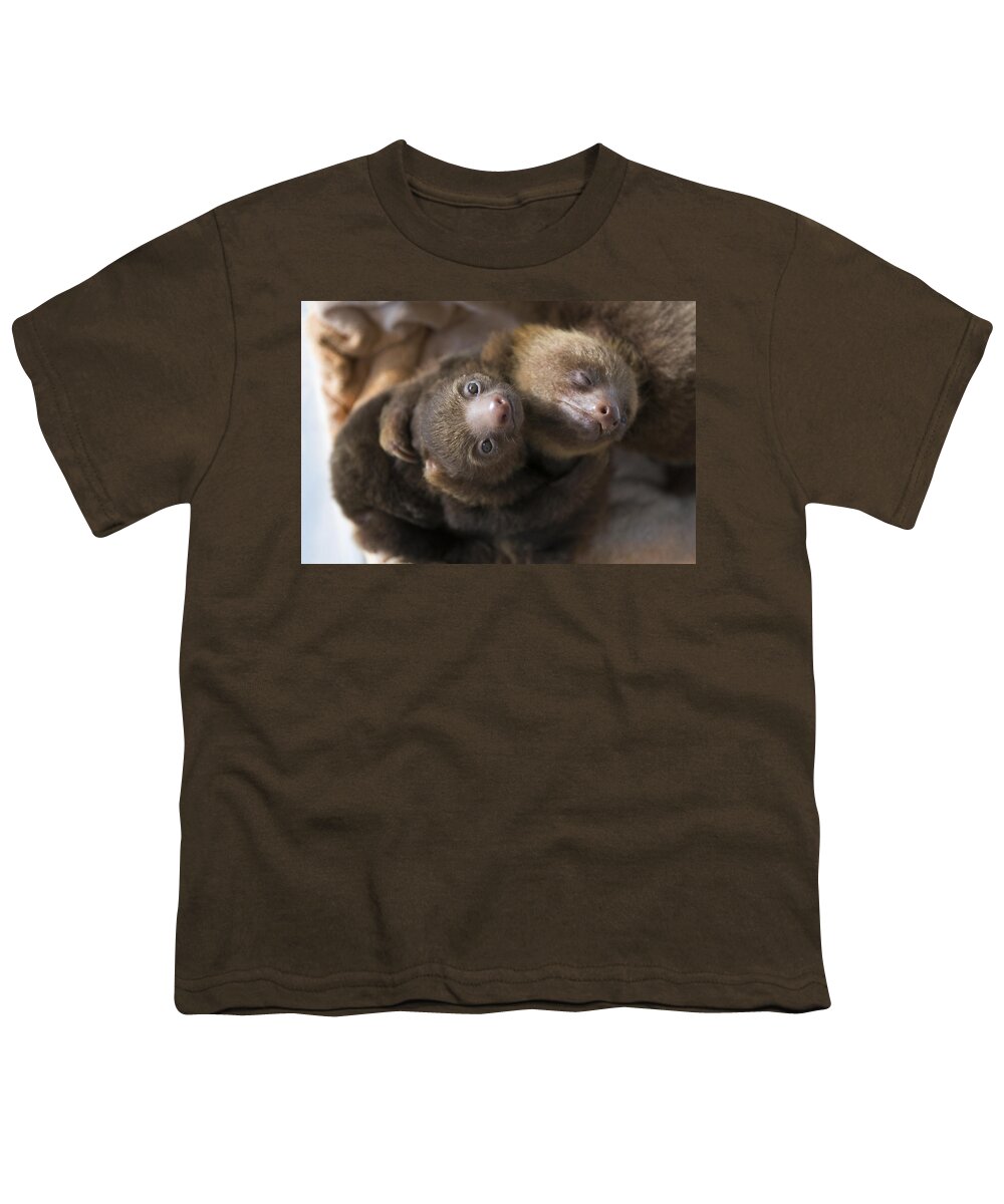 00477782 Youth T-Shirt featuring the photograph Hoffmanns Two-toed Sloth Orphans Hugging by Suzi Eszterhas