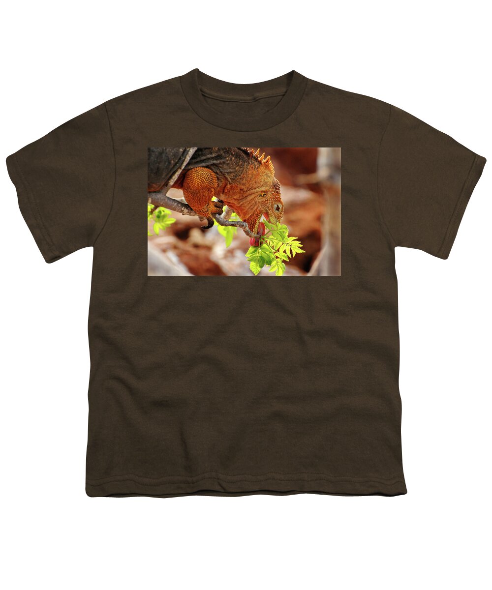 Iguana Youth T-Shirt featuring the photograph Iguana Lunch by Ted Keller