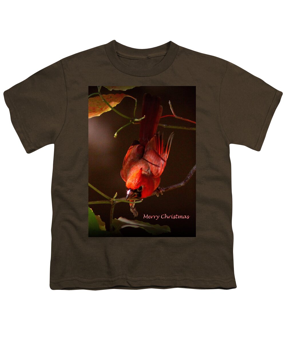 Northern Cardinal Youth T-Shirt featuring the photograph IMG_4217-001 - Northern Cardinal Christmas Card by Travis Truelove