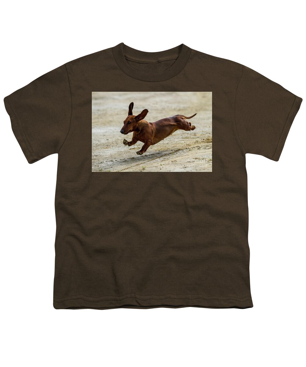Dachshund Youth T-Shirt featuring the photograph Its not a Sausage its a Dog by Heiko Koehrer-Wagner
