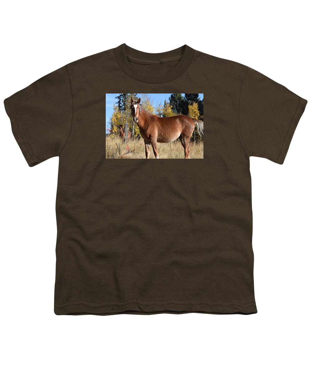 Animal Youth T-Shirt featuring the photograph Horse CR 511 Divide CO by Margarethe Binkley