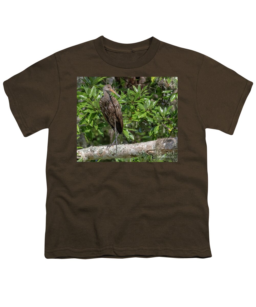 Birds Youth T-Shirt featuring the photograph Limpkin - Aramus Guarauna by DB Hayes
