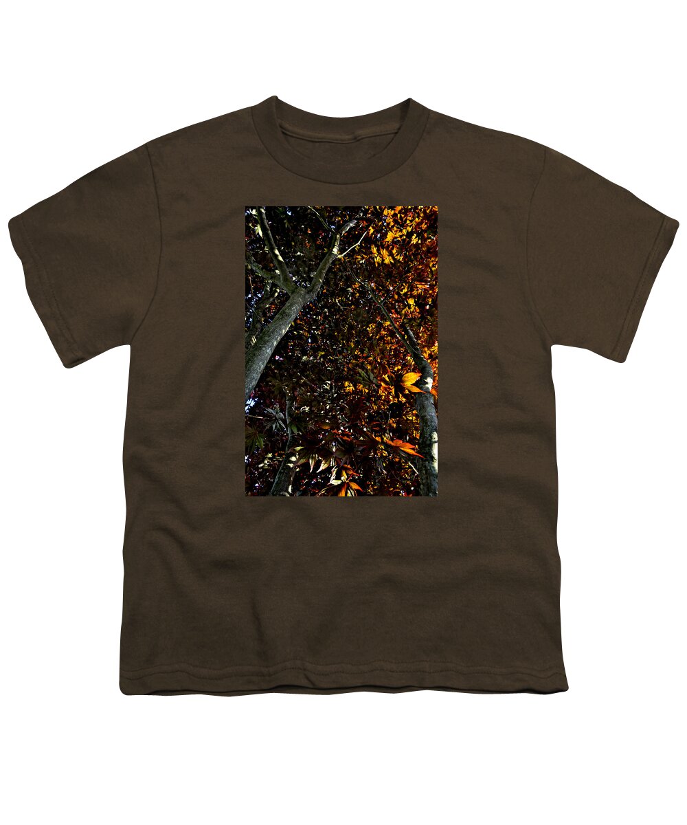 Tree Youth T-Shirt featuring the photograph Look Up by Donna Petersen