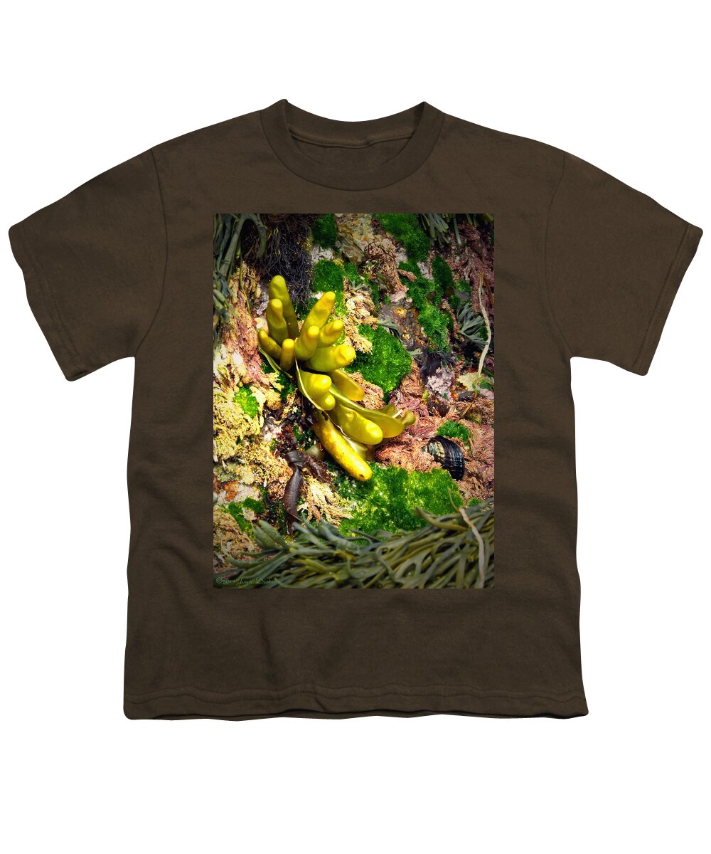 Ocean Youth T-Shirt featuring the photograph Magical World Beneath The Ocean by Joyce Dickens