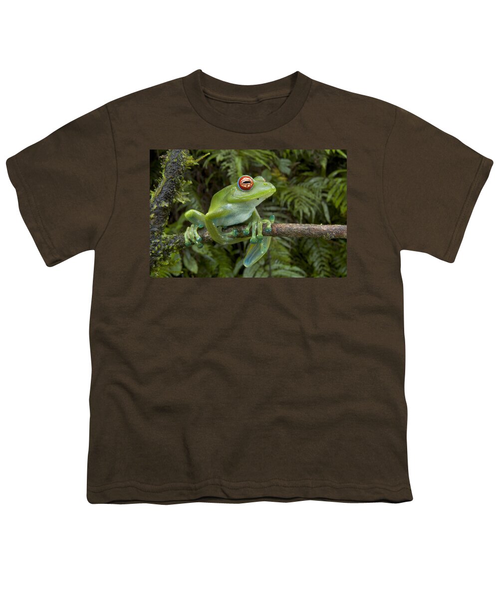 Mp Youth T-Shirt featuring the photograph Malagasy Web-footed Frog Boophis Luteus by Piotr Naskrecki