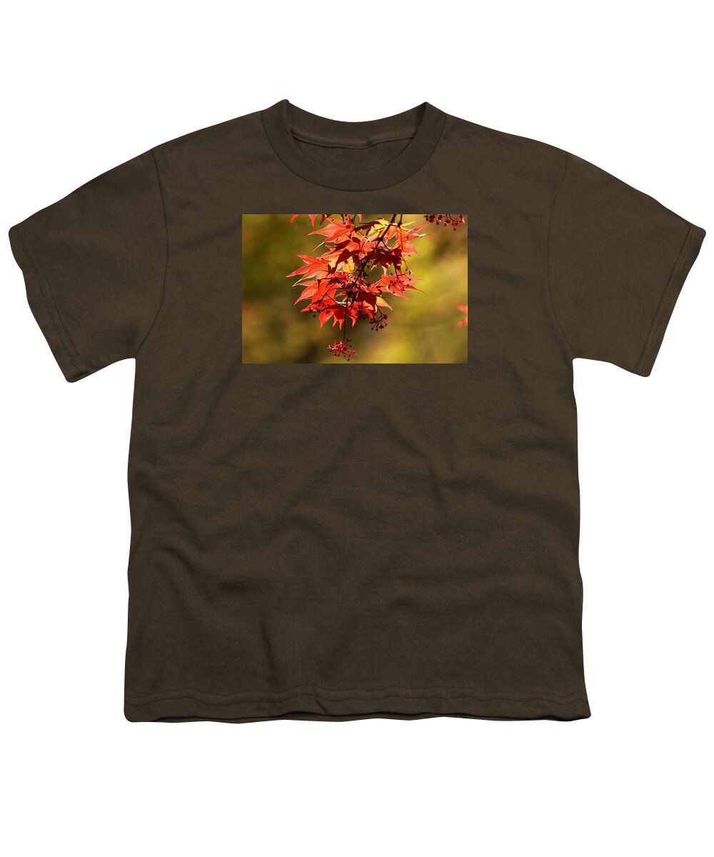 Autumn Youth T-Shirt featuring the photograph Memories Of Autumn Past by Carol Montoya