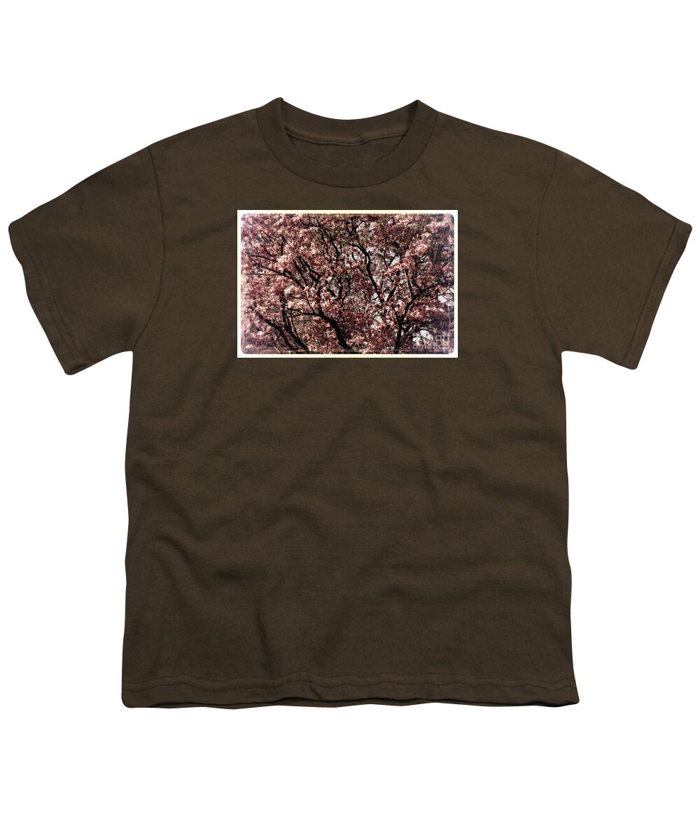 Midwest Youth T-Shirt featuring the photograph Morning Light Magnolia - Border by Frank J Casella