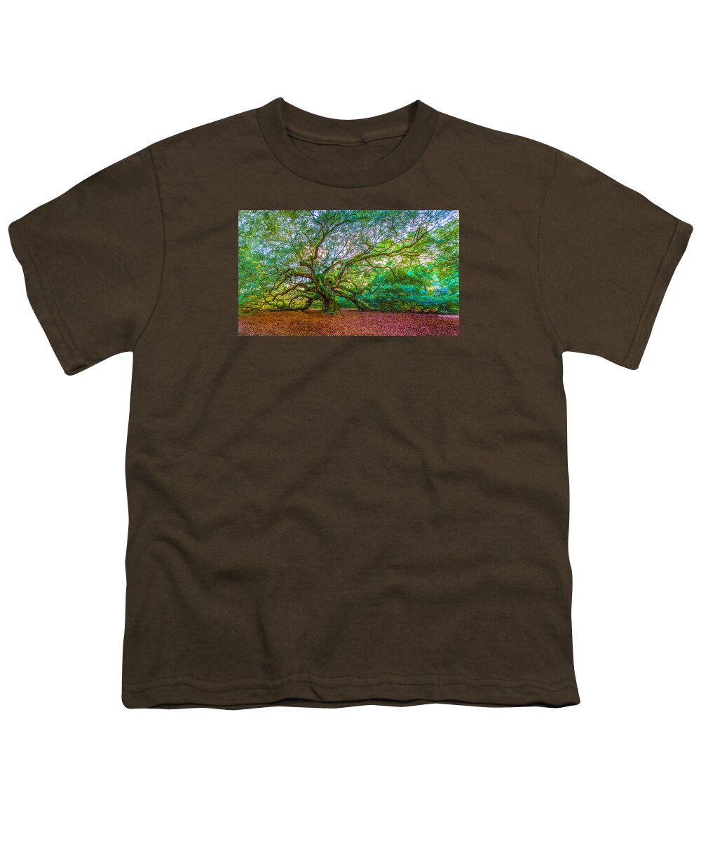 Angel Oak Tree Youth T-Shirt featuring the photograph Panoramic Angel Oak Tree Charleston SC by John McGraw