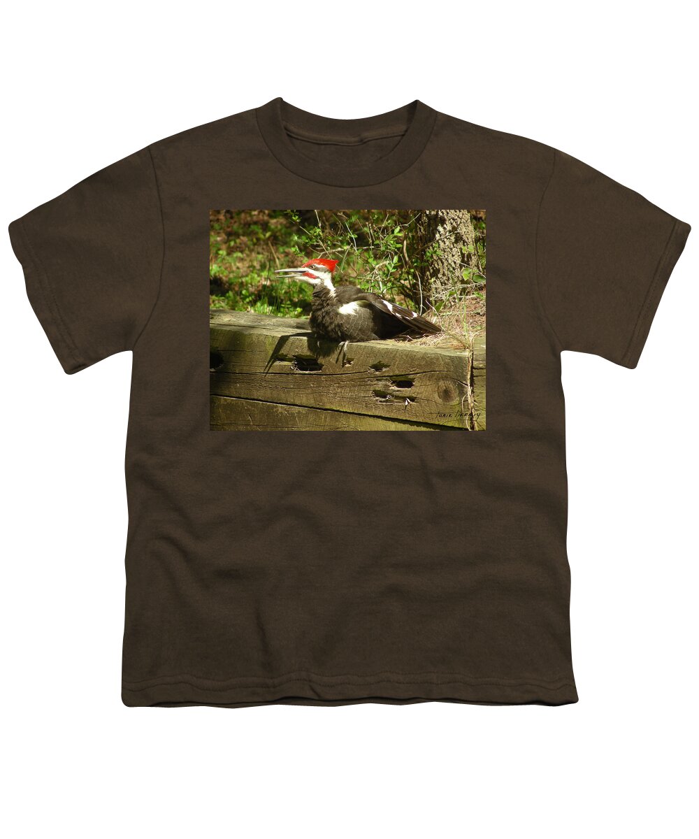 Faunagraphs Youth T-Shirt featuring the photograph Pileated Woodpecker1 by Torie Tiffany