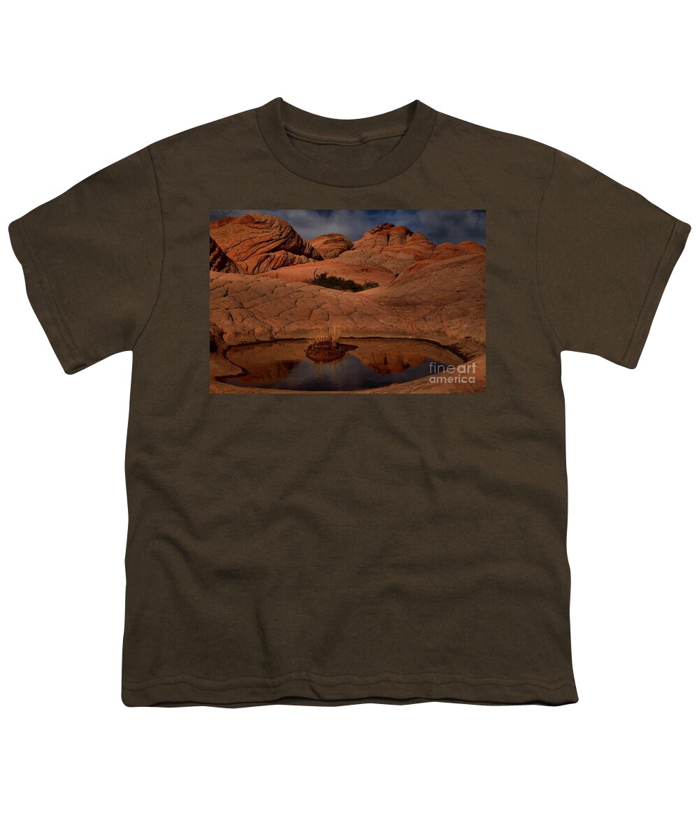 Yant Flat Youth T-Shirt featuring the photograph Pool In The Desert by Adam Jewell