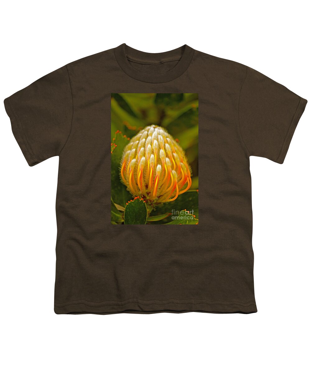 Protea Youth T-Shirt featuring the photograph Proteas Ready to Blossom by Michael Cinnamond