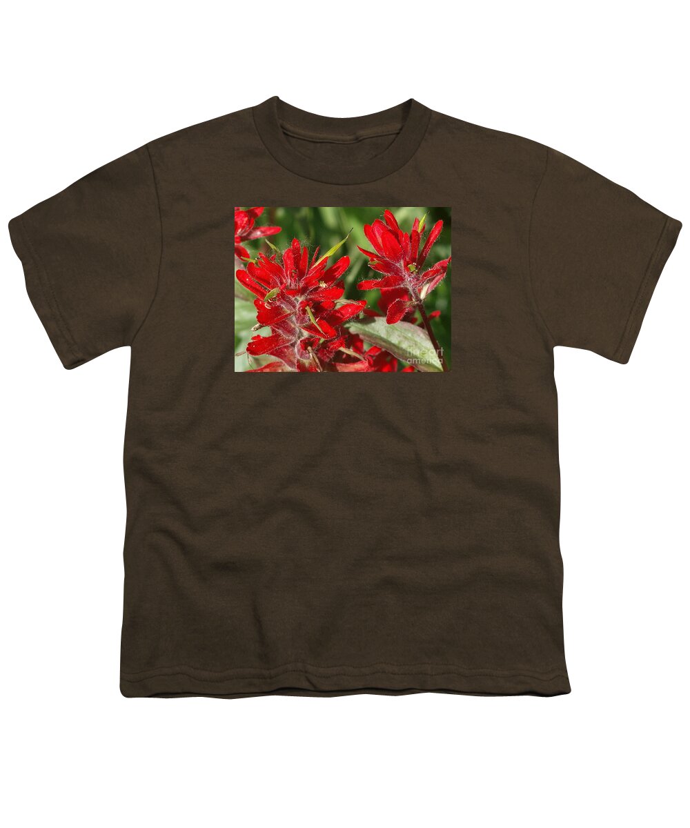 Red Youth T-Shirt featuring the photograph Red Indian Paint Brush by Vivian Martin