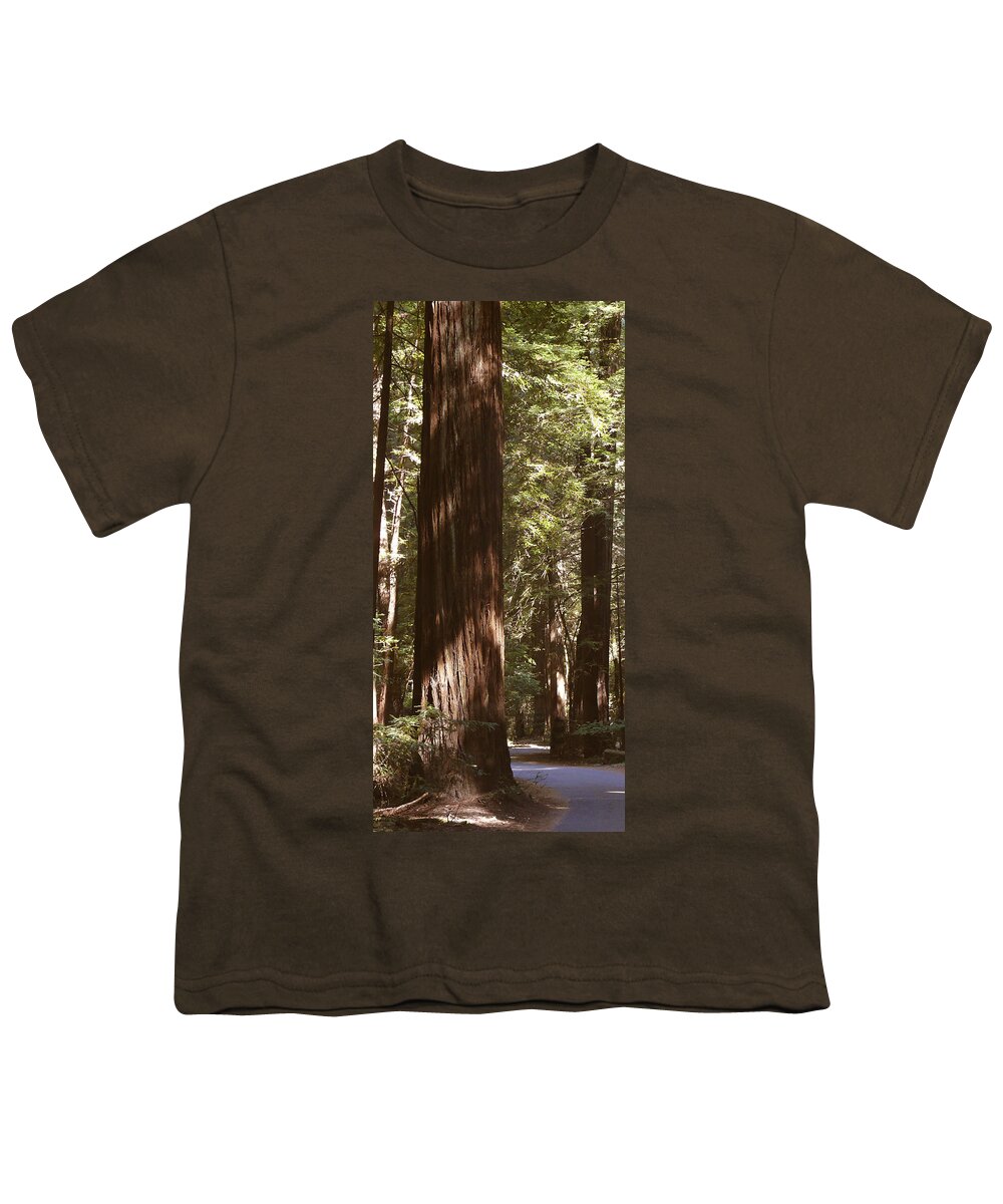 Redwood Tree Youth T-Shirt featuring the photograph Redwoods by Mike McGlothlen