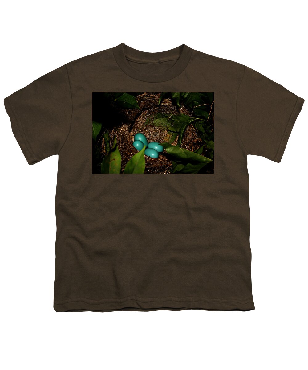 Nature Youth T-Shirt featuring the photograph Robins Nest by Robert Morin