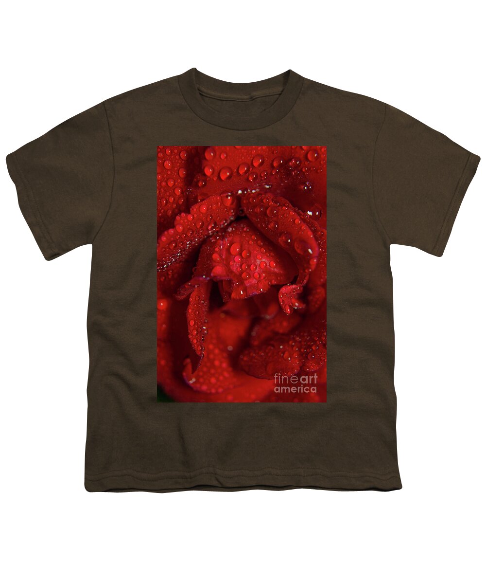 Botanical Photography Youth T-Shirt featuring the photograph Royal Red Rose Nature / Floral / Botanical Photograph by PIPA Fine Art - Simply Solid