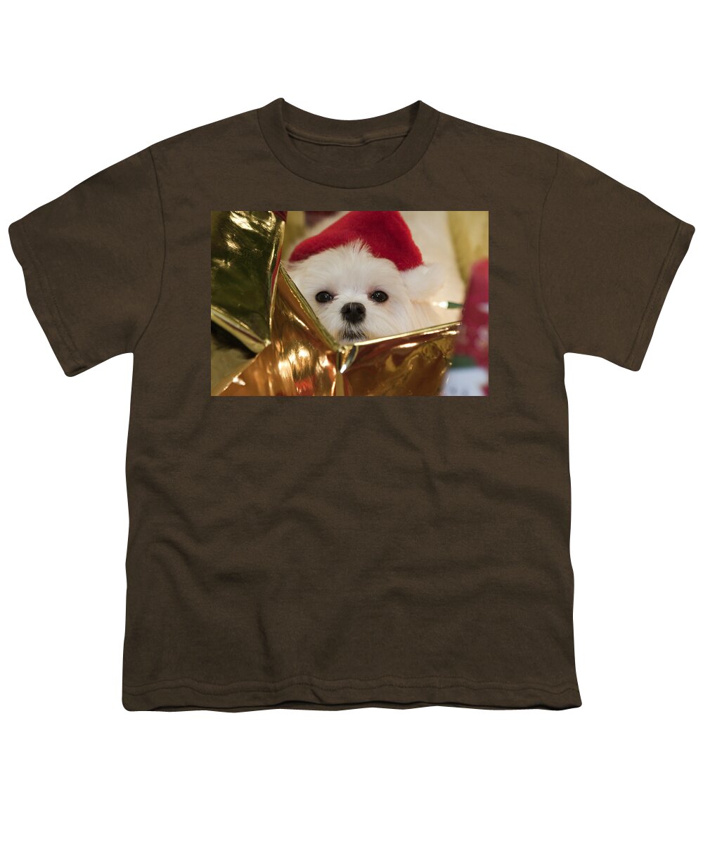 Maltese Youth T-Shirt featuring the photograph Santa Paws by Leslie Leda