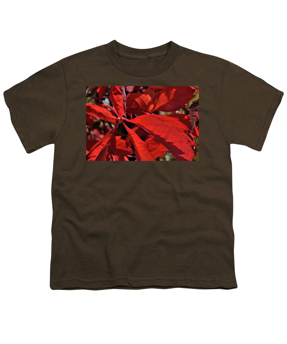 Nature Youth T-Shirt featuring the photograph Scarlet Intensity by Ron Cline