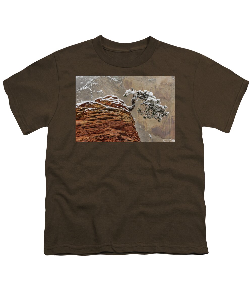 00558898 Youth T-Shirt featuring the photograph Snow Covered Pine in Zion Natl Park by Jeff Foott