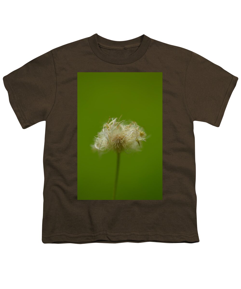 Green Youth T-Shirt featuring the photograph Softly In A Sea Of Green by Shane Holsclaw
