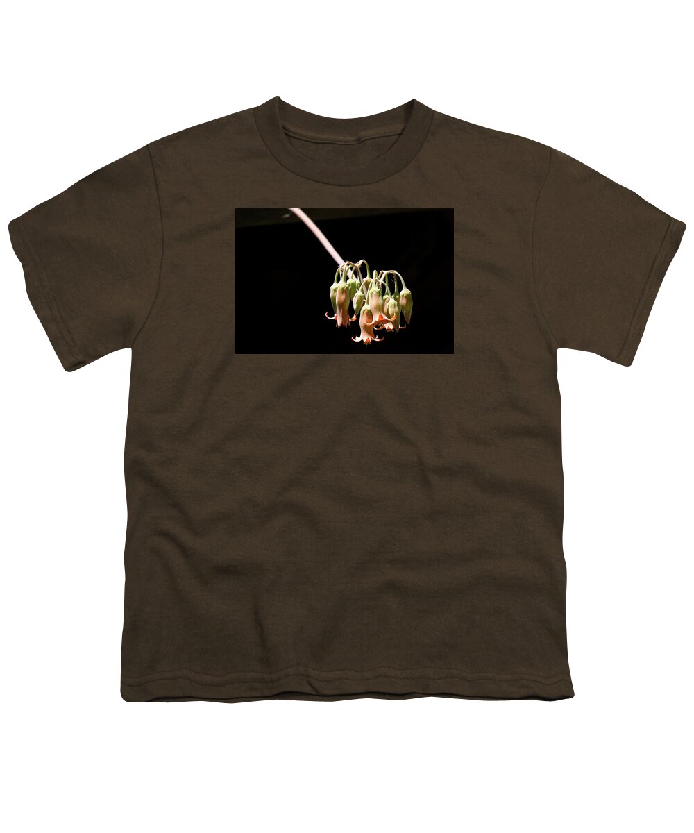 Flower Youth T-Shirt featuring the photograph Succulent Flower by Grant Groberg