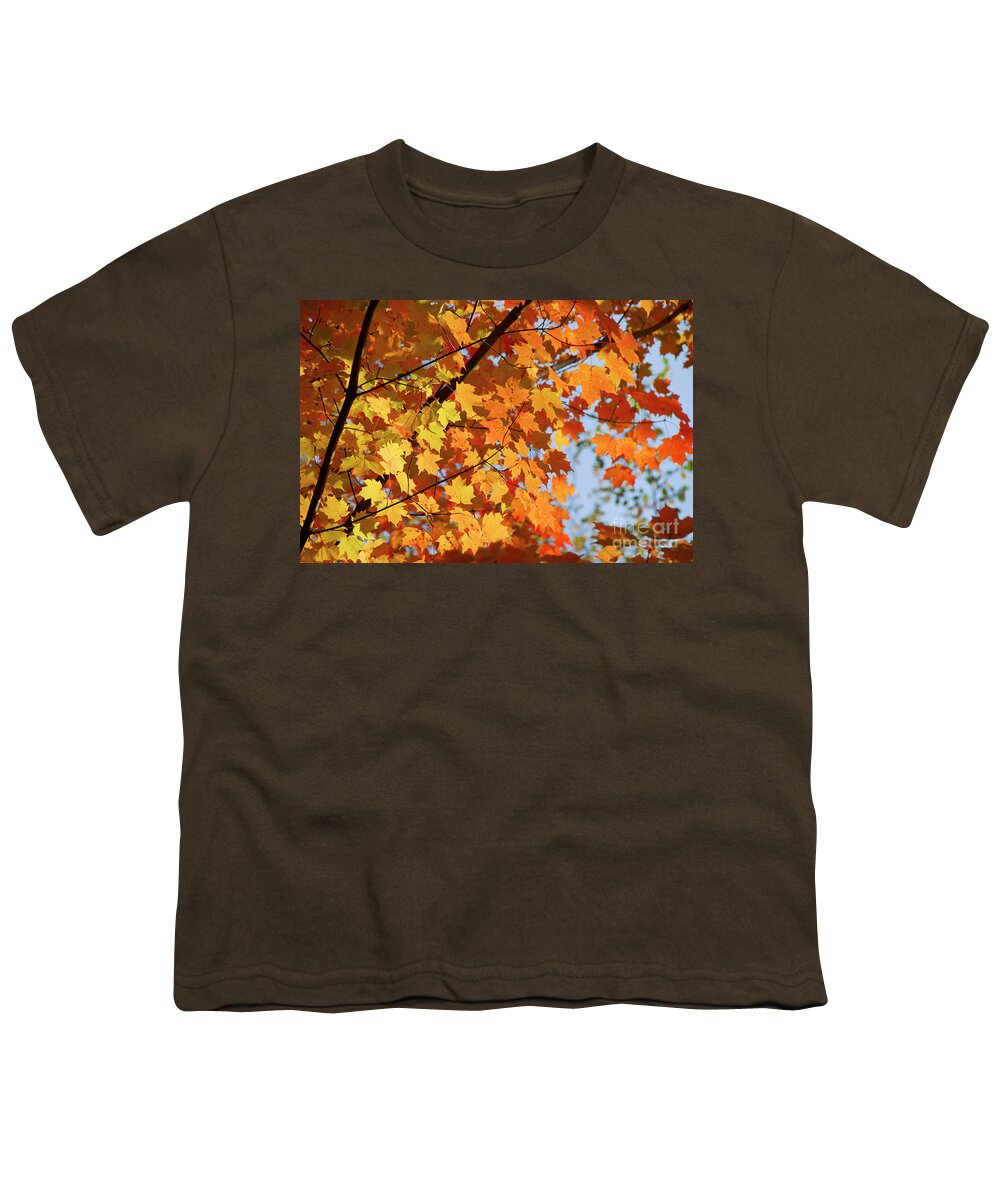 Fall Youth T-Shirt featuring the photograph Sunlight in maple tree by Elena Elisseeva